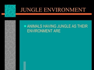 JUNGLE ENVIRONMENT ANIMALS HAVING JUNGLE AS THEIR ENVIRONMENT ARE 
