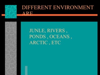 DIFFERENT ENVIRONMENT ARE JUNLE, RIVERS , PONDS , OCEANS , ARCTIC , ETC 