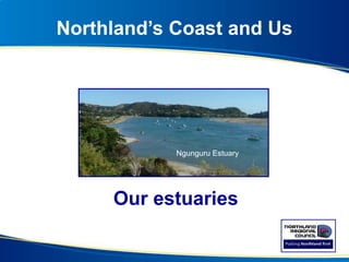 Northland’s Coast and Us
Our estuaries
Waipu Estuary
Ngunguru Estuary
 
