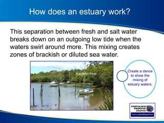 How does an estuary work?
This separation between fresh and salt water
breaks down on an outgoing low tide when the
waters swirl around more. This mixing creates
zones of brackish or diluted sea water.
Kerikeri Inlet
Create a dance
to show the
mixing of
estuary waters.
 