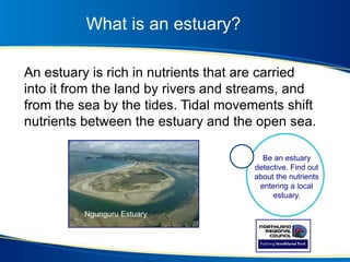 What is an estuary?
An estuary is rich in nutrients that are carried
into it from the land by rivers and streams, and
from the sea by the tides. Tidal movements shift
nutrients between the estuary and the open sea.
Ngunguru Estuary
Be an estuary
detective. Find out
about the nutrients
entering a local
estuary.
 