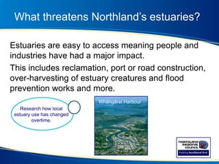 What threatens Northland’s estuaries?
Estuaries are easy to access meaning people and
industries have had a major impact.
This includes reclamation, port or road construction,
over-harvesting of estuary creatures and flood
prevention works and more.
Whāngārei Harbour
Research how local
estuary use has changed
overtime.
 