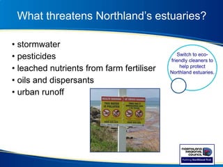 What threatens Northland’s estuaries?
• stormwater
• pesticides
• leached nutrients from farm fertiliser
• oils and dispersants
• urban runoff
Switch to eco-
friendly cleaners to
help protect
Northland estuaries.
 