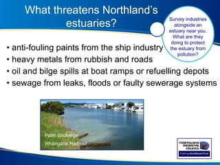 What threatens Northland’s
estuaries?
• anti-fouling paints from the ship industry
• heavy metals from rubbish and roads
• oil and bilge spills at boat ramps or refuelling depots
• sewage from leaks, floods or faulty sewerage systems
Survey industries
alongside an
estuary near you.
What are they
doing to protect
the estuary from
pollution?
Paint discharge
Whāngārei Harbour
 