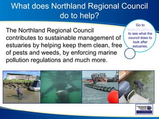 What does Northland Regional Council
do to help?
The Northland Regional Council
contributes to sustainable management of
estuaries by helping keep them clean, free
of pests and weeds, by enforcing marine
pollution regulations and much more.
Go to
www.nrc.govt.nz
to see what the
council does to
look after
estuaries.
 