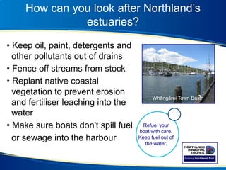 How can you look after Northland’s
estuaries?
• Keep oil, paint, detergents and
other pollutants out of drains
• Fence off streams from stock
• Replant native coastal
vegetation to prevent erosion
and fertiliser leaching into the
water
• Make sure boats don't spill fuel
or sewage into the harbour
Whāngārei Town Basin
Refuel your
boat with care.
Keep fuel out of
the water.
 