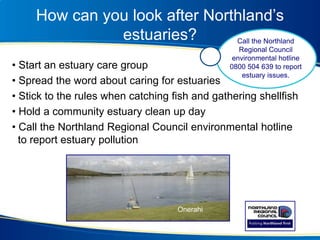 How can you look after Northland’s
estuaries?
• Start an estuary care group
• Spread the word about caring for estuaries
• Stick to the rules when catching fish and gathering shellfish
• Hold a community estuary clean up day
• Call the Northland Regional Council environmental hotline
to report estuary pollution
Onerahi
Call the Northland
Regional Council
environmental hotline
0800 504 639 to report
estuary issues.
 