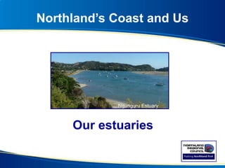 Northland’s Coast and Us
Our estuaries
Ngunguru Estuary
 