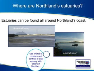 Where are Northland’s estuaries?
Sue, insert map here
Estuaries can be found all around Northland’s coast.
Use photos to
compare and
contrast a local
estuary with
others in
Northland.
Houhora Estuary
Ruakaka Estuary
 