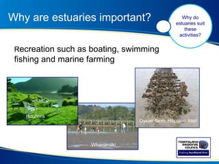 Why are estuaries important?
Recreation such as boating, swimming
fishing and marine farming
Whangaruru Harbour
Whananaki
Whananaki
Houhora
Why do
estuaries suit
these
activities?
Oyster farm, Hāparua Inlet
 