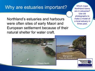 Why are estuaries important?
Northland’s estuaries and harbours
were often sites of early Maori and
European settlement because of their
natural shelter for water craft.
Mangonui.
Photo: NZ Pictures.co.nz
Tōtara North
Which major
Northland towns
are in estuaries?
Use old
photographs to
make a model of
a local estuary in
times past.
 
