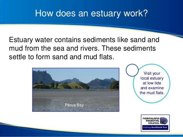 our estuaries how do estuaries form