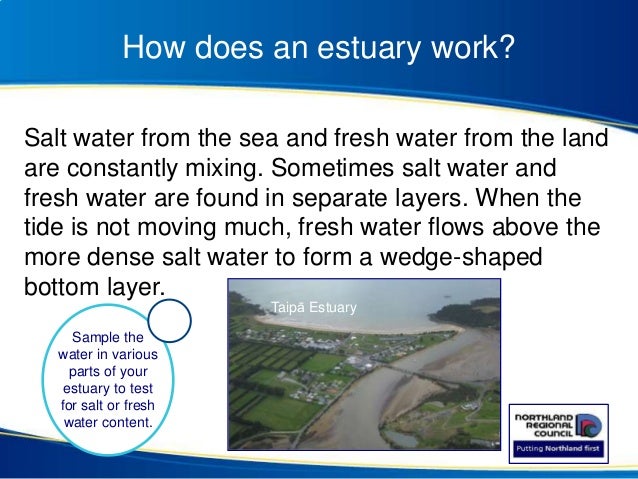 our estuaries how do estuaries form