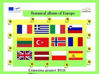 Comenius project 2012-
 