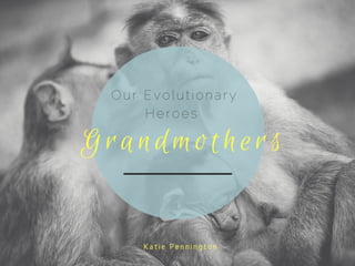 Our Evolutionary Heroes: Grandmothers