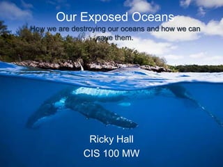 Our Exposed Oceans
How we are destroying our oceans and how we can
                   save them.




               Ricky Hall
              CIS 100 MW
 