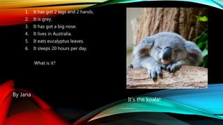 1. It has got 2 legs and 2 hands.
2. It is grey.
3. It has got a big nose.
4. It lives in Australia.
5. It eats eucalyptus leaves.
6. It sleeps 20 hours per day.
What is it?
It’s the koala!
By Jana
 