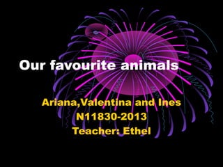 Our favourite animals
Ariana,Valentina and Ines
N11830-2013
Teacher: Ethel

 