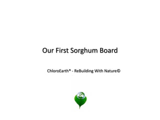 Our First Sorghum Board
ChloroEarth® - ReBuilding With Nature©
 