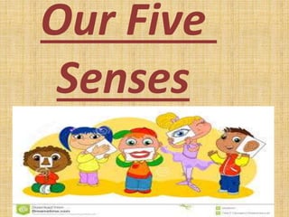 Our Five
Senses
 