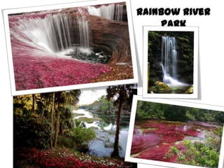 Rainbow River Park