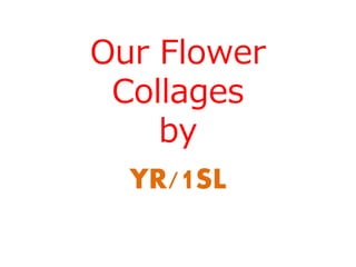 Our Flower
 Collages
    by
  YR/1SL
 