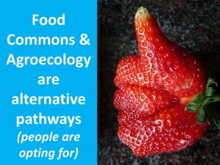 Territories of
Commons
• Climate adapted Food
commons
• Stewarding Nature &
Biodiversity
• Nurturing community,
citizenshi...