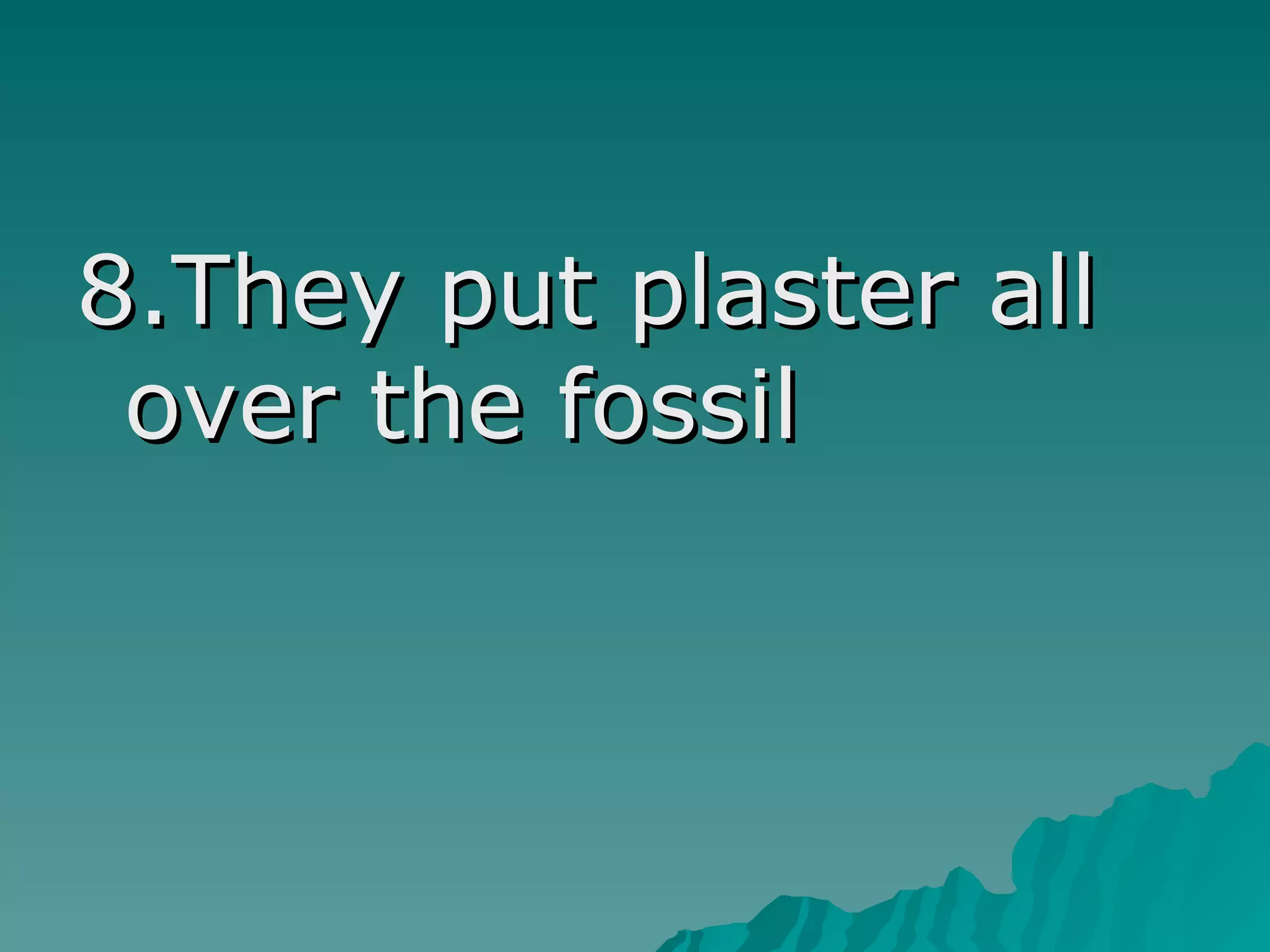 8.They put plaster all
over the fossil