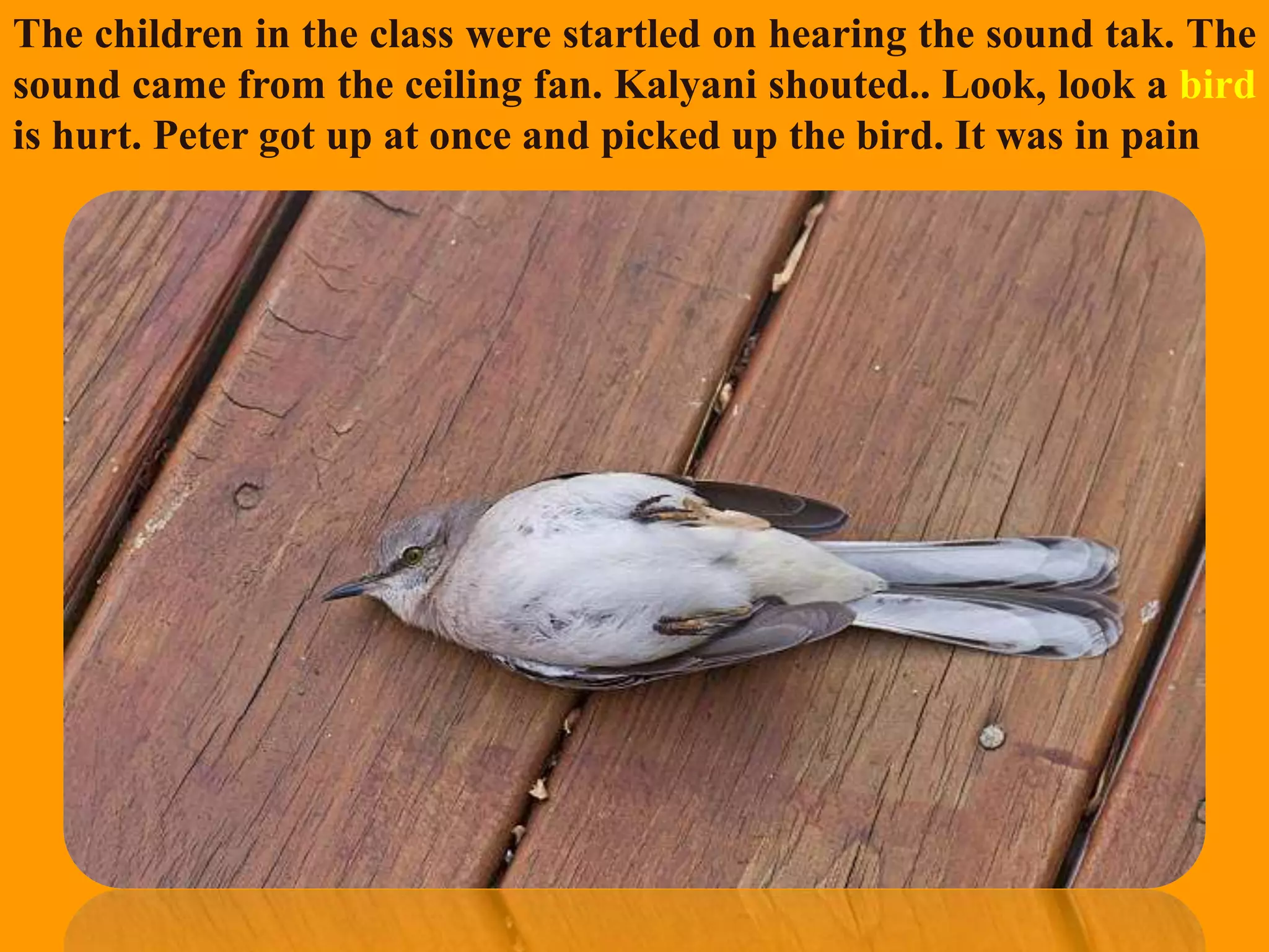 Slide 2