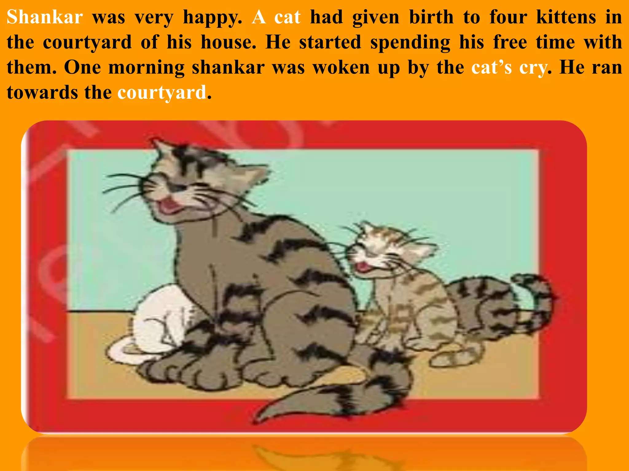 Slide 5