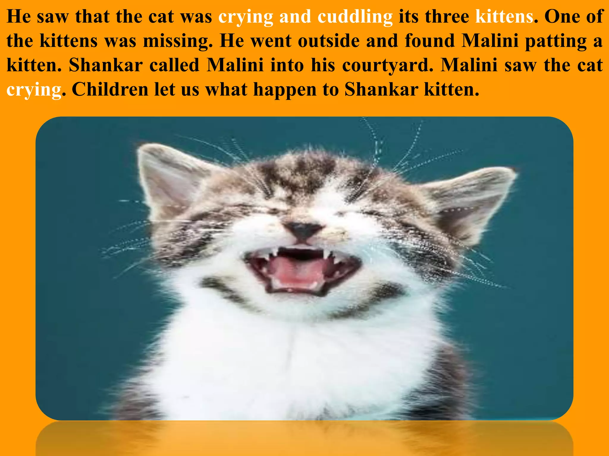 Slide 6
