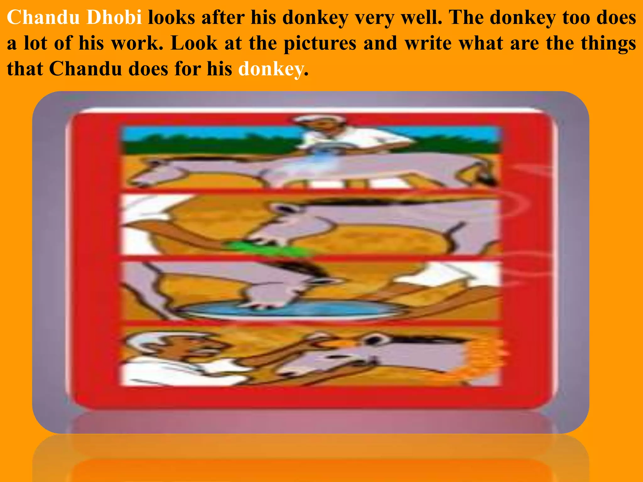 Slide 8