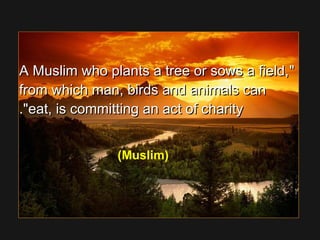 A Muslim who plants a tree or sows a field,A Muslim who plants a tree or sows a field,
from which man, birds and animals canfrom which man, birds and animals can
eat, is committing an act of charityeat, is committing an act of charity..
(Muslim)
 