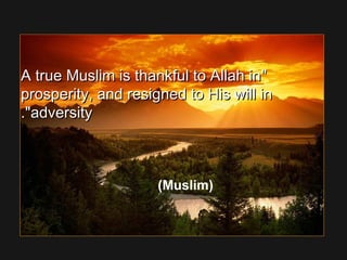 A true Muslim is thankful to Allah inA true Muslim is thankful to Allah in
prosperity, and resigned to His will inprosperity, and resigned to His will in
adversityadversity..
(Muslim)
 