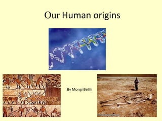 Our Human origins
By Mongi Bellili
 