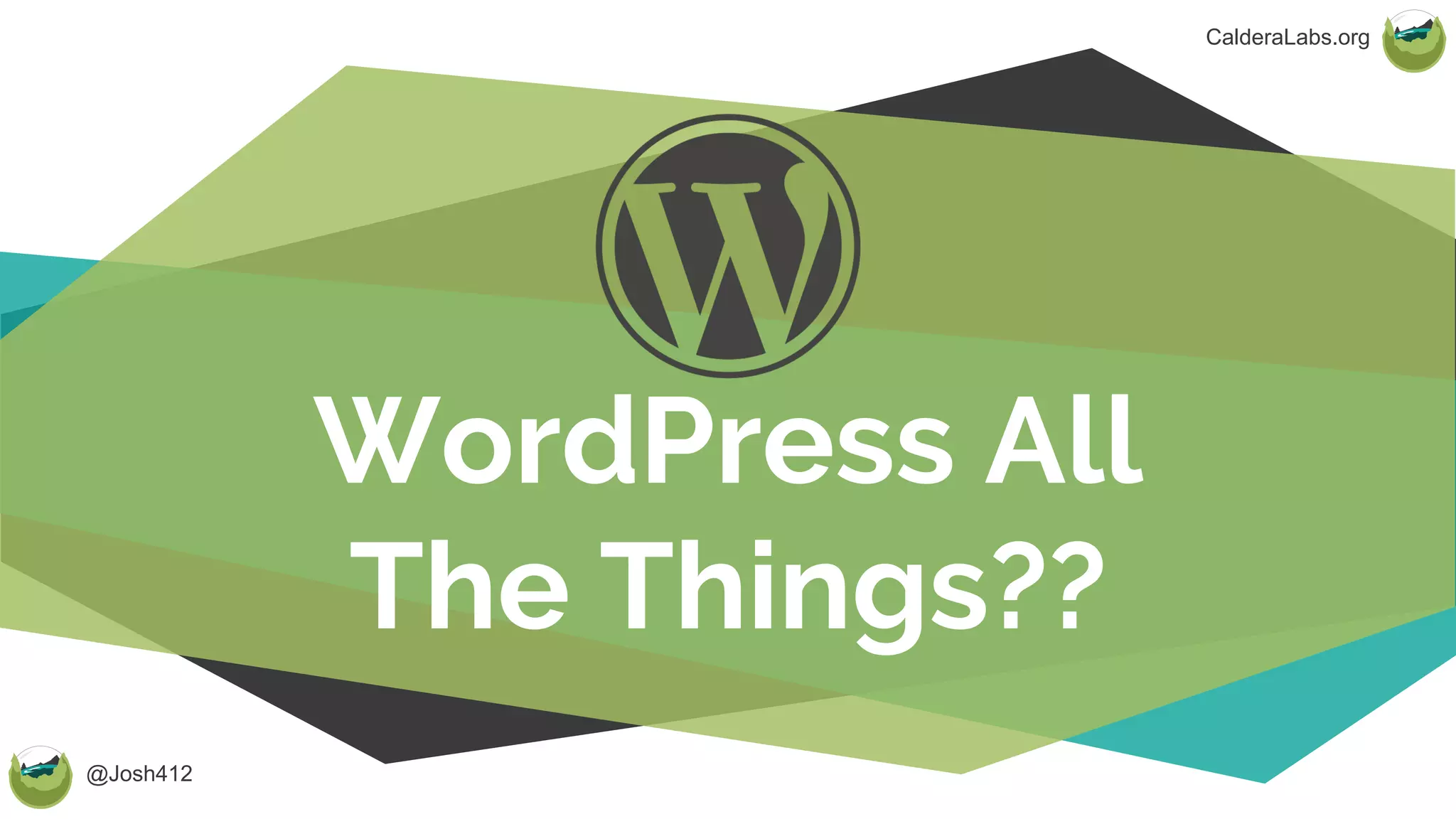 @Josh412
CalderaLabs.org
WordPress All
The Things??
 
