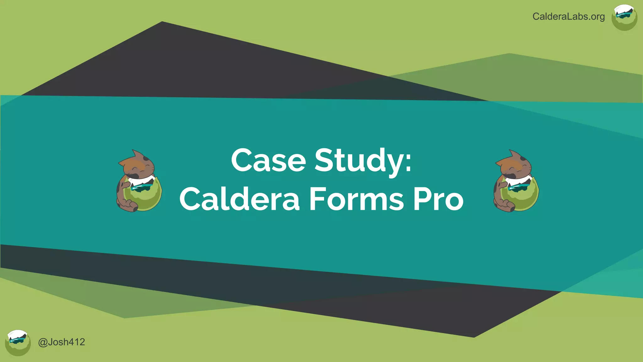 @Josh412
CalderaLabs.org
Case Study:
Caldera Forms Pro
 