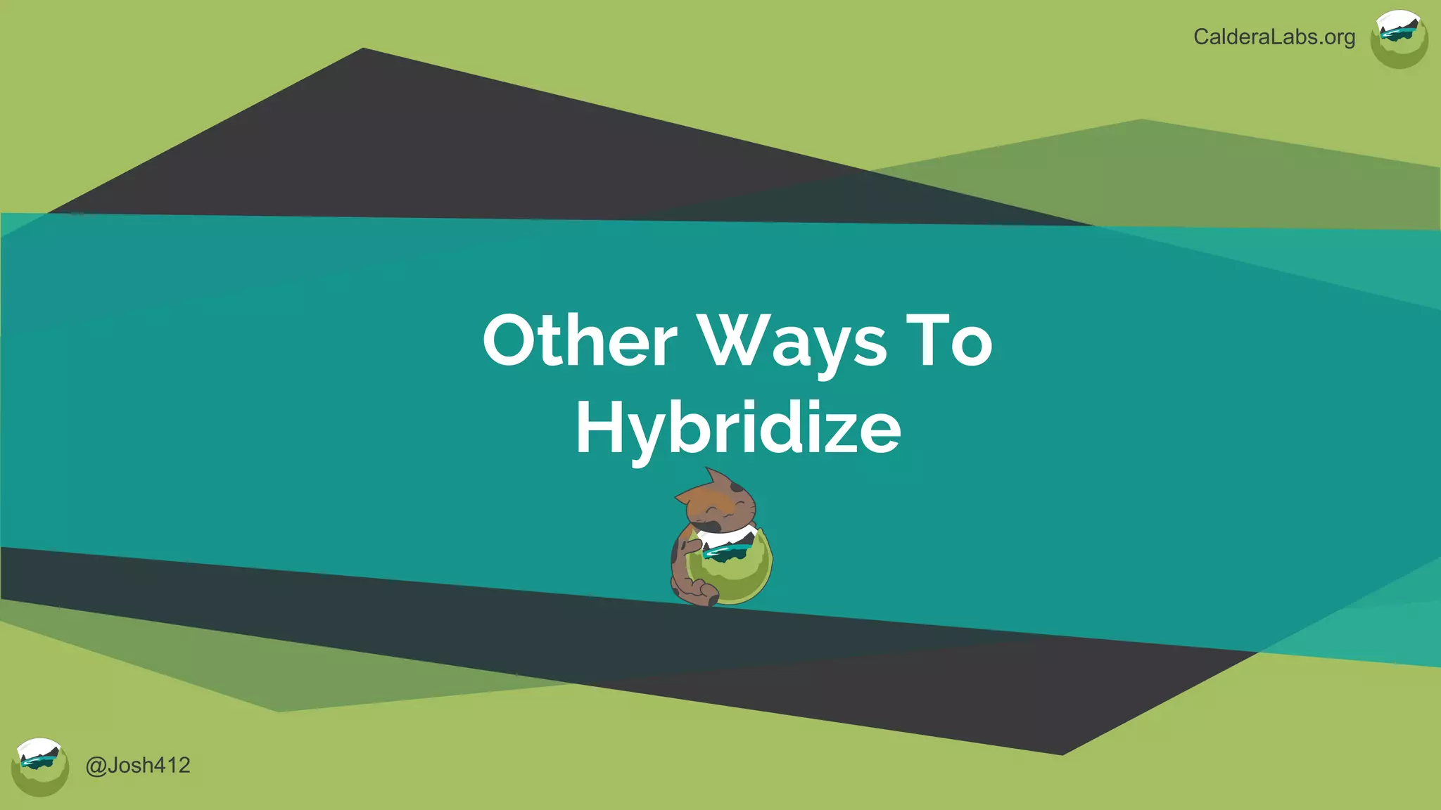 @Josh412
CalderaLabs.org
Other Ways To
Hybridize
 