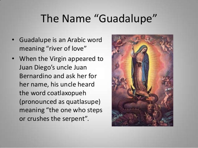 Our lady of guadalupe powerpoint