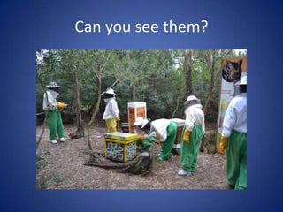 Can you see them?
 