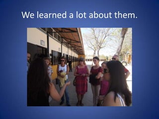 We learned a lot about them.
 