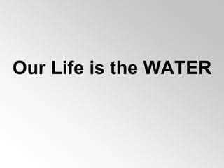 Our Life is the WATER
 