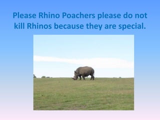 Please Rhino Poachers please do not
kill Rhinos because they are special.
 