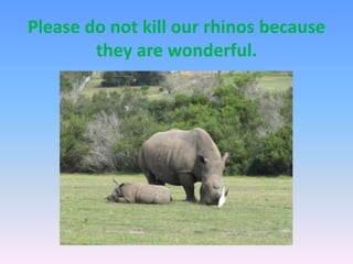 Please do not kill our rhinos because
they are wonderful.
 