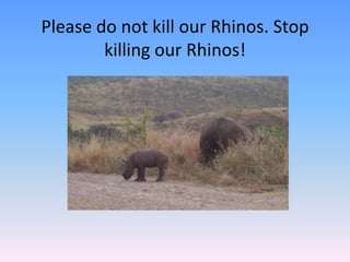 Please do not kill our Rhinos. Stop
killing our Rhinos!
 