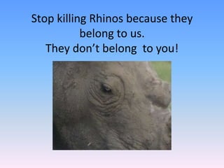 Stop killing Rhinos because they
belong to us.
They don’t belong to you!
 