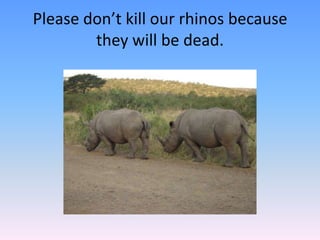 Please don’t kill our rhinos because
they will be dead.
 