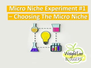 Micro Niche Experiment #1
– Choosing The Micro Niche
 