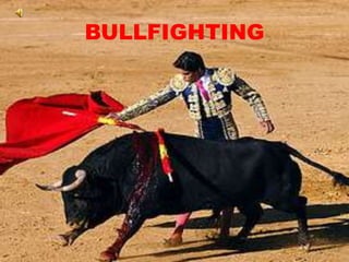 BULLFIGHTING
 