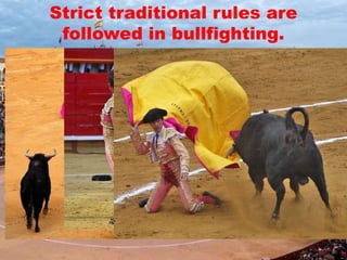 Strict traditional rules are
followed in bullfighting.
 
